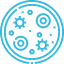 Mold remediation icon