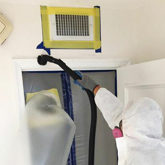 Mold Cleaning